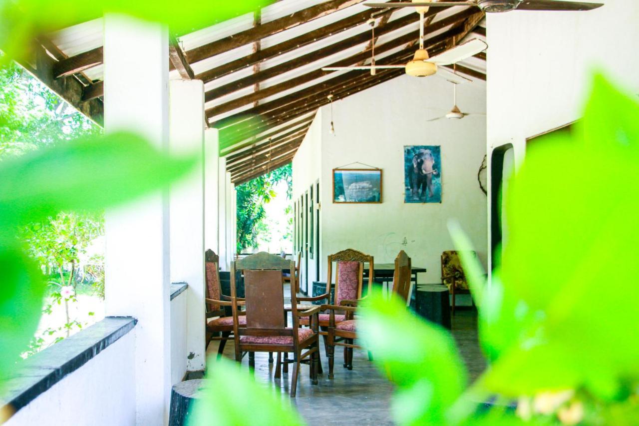 Bed and Breakfast Banana Rest Sigiriya Exterior foto