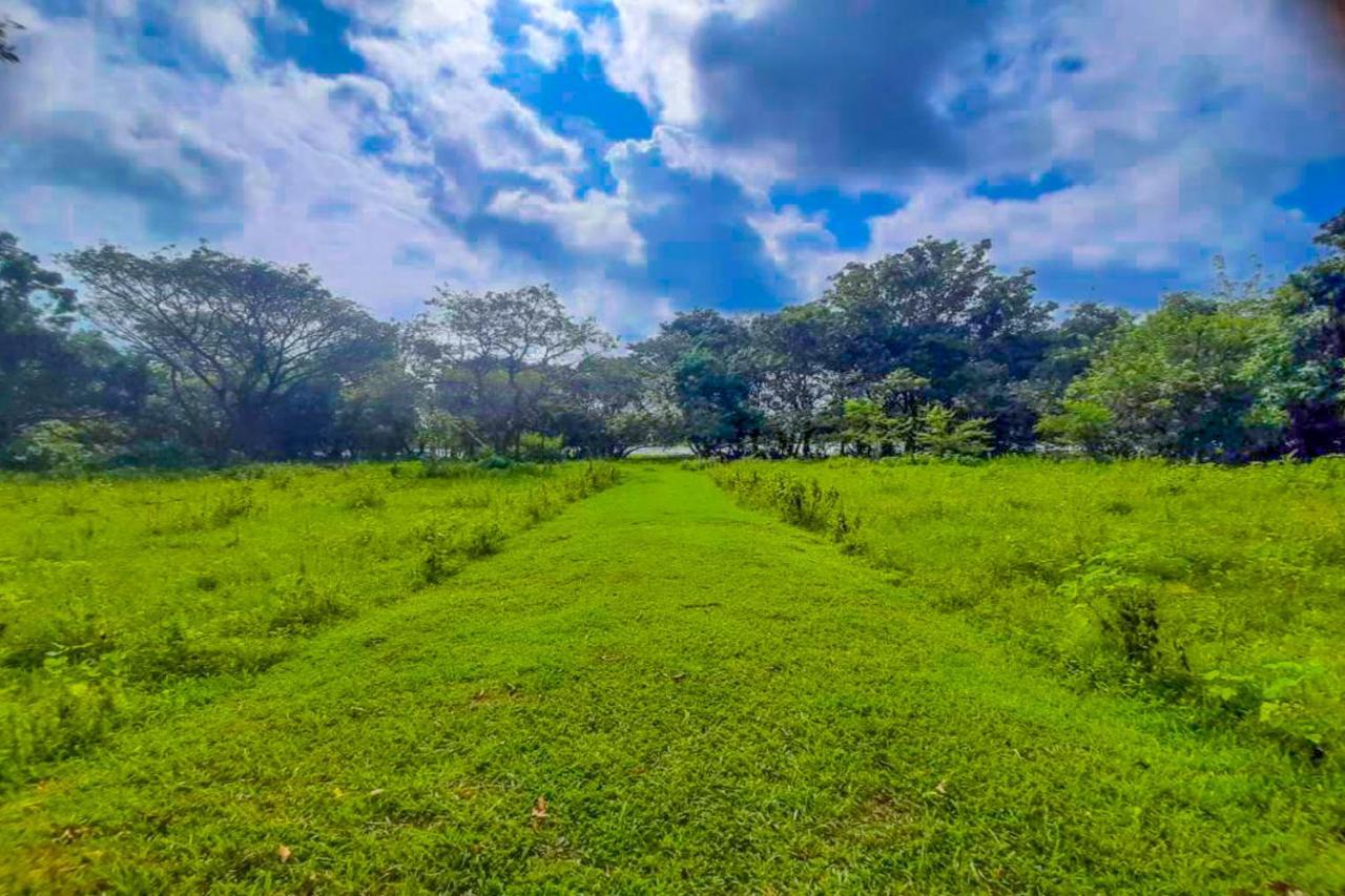 Bed and Breakfast Banana Rest Sigiriya Exterior foto