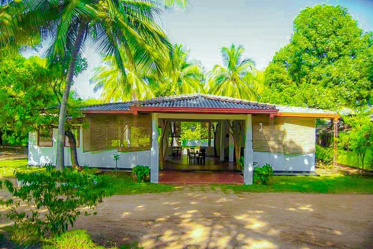Bed and Breakfast Banana Rest Sigiriya Exterior foto