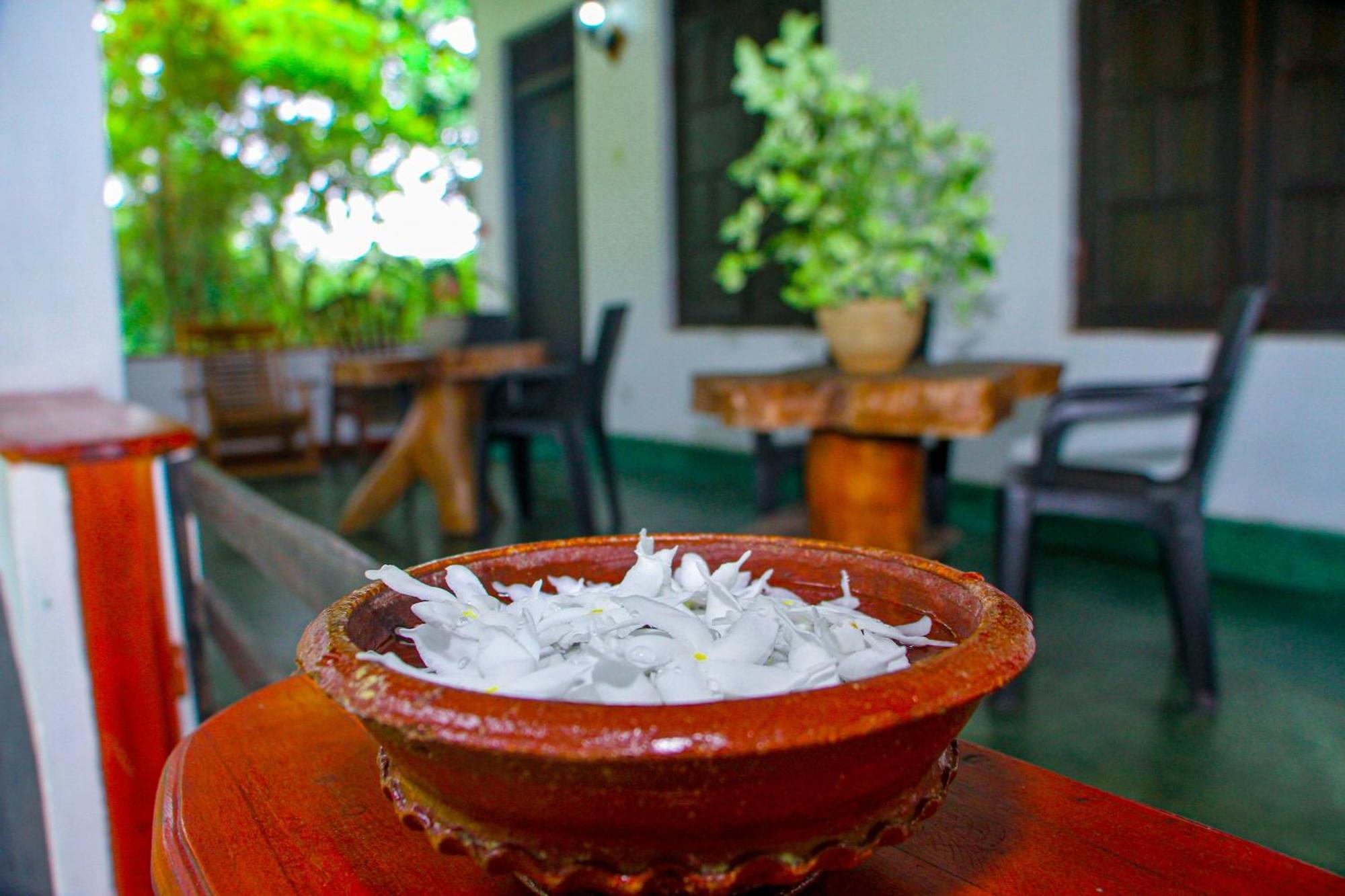 Bed and Breakfast Banana Rest Sigiriya Exterior foto