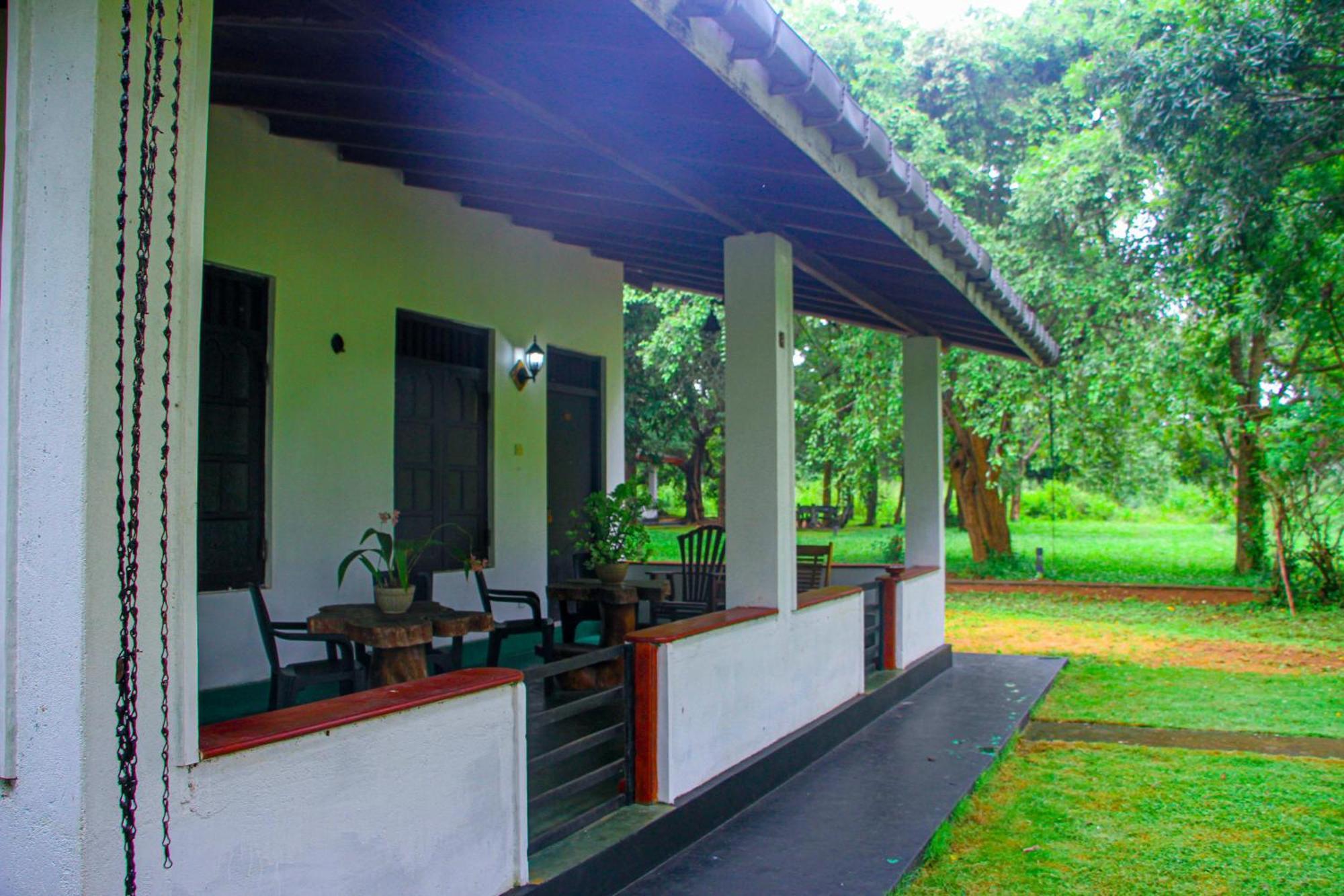 Bed and Breakfast Banana Rest Sigiriya Exterior foto
