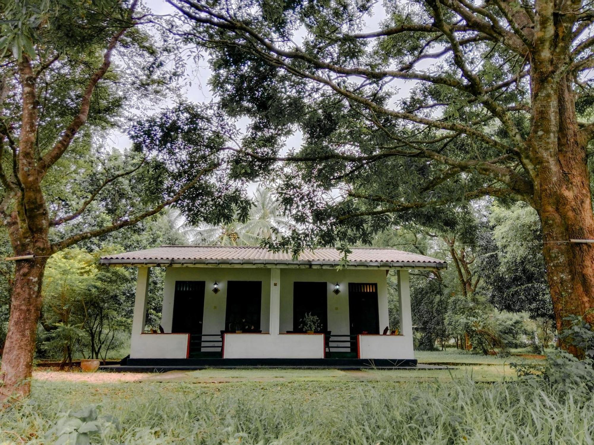 Bed and Breakfast Banana Rest Sigiriya Exterior foto