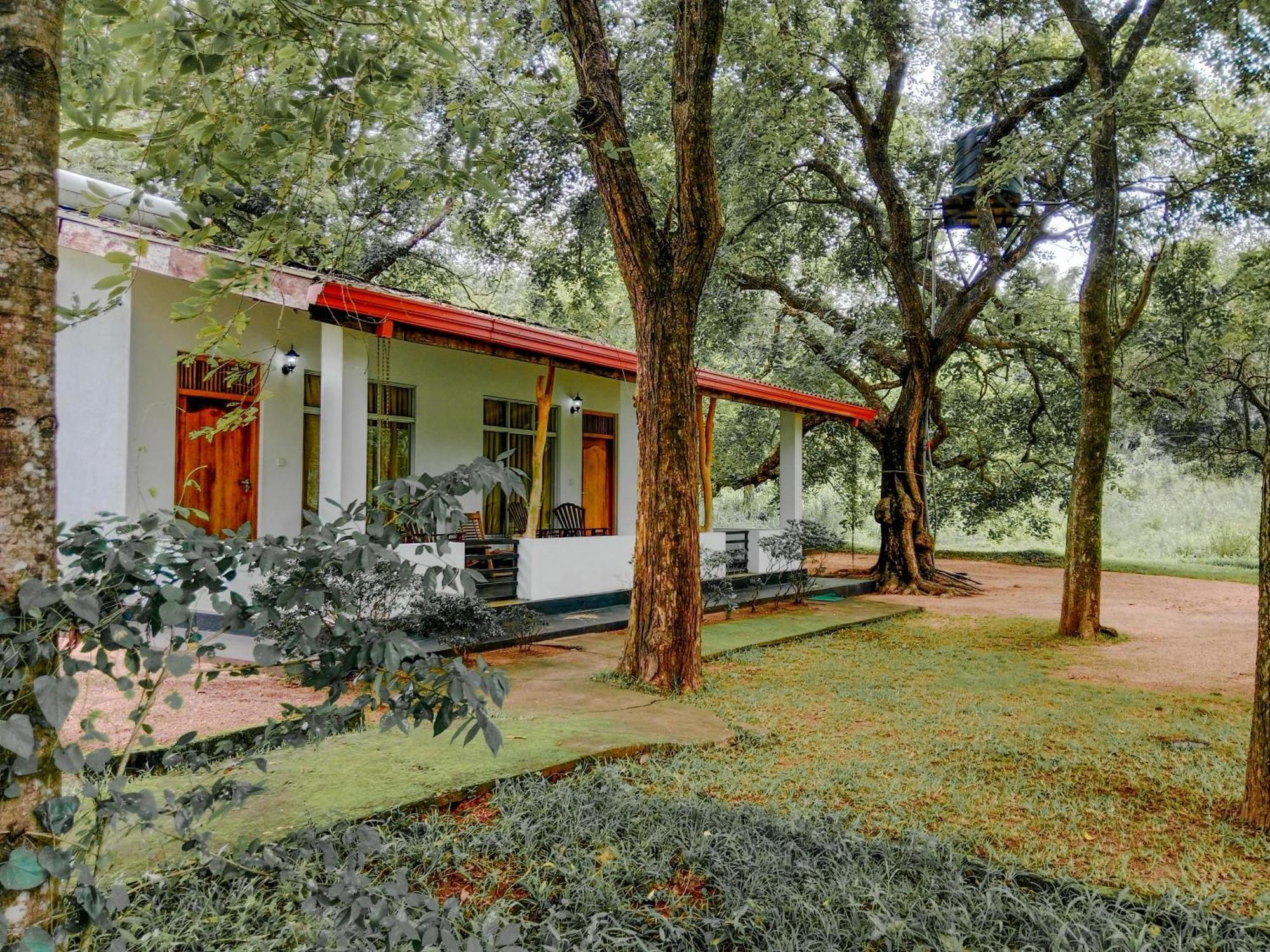 Bed and Breakfast Banana Rest Sigiriya Exterior foto