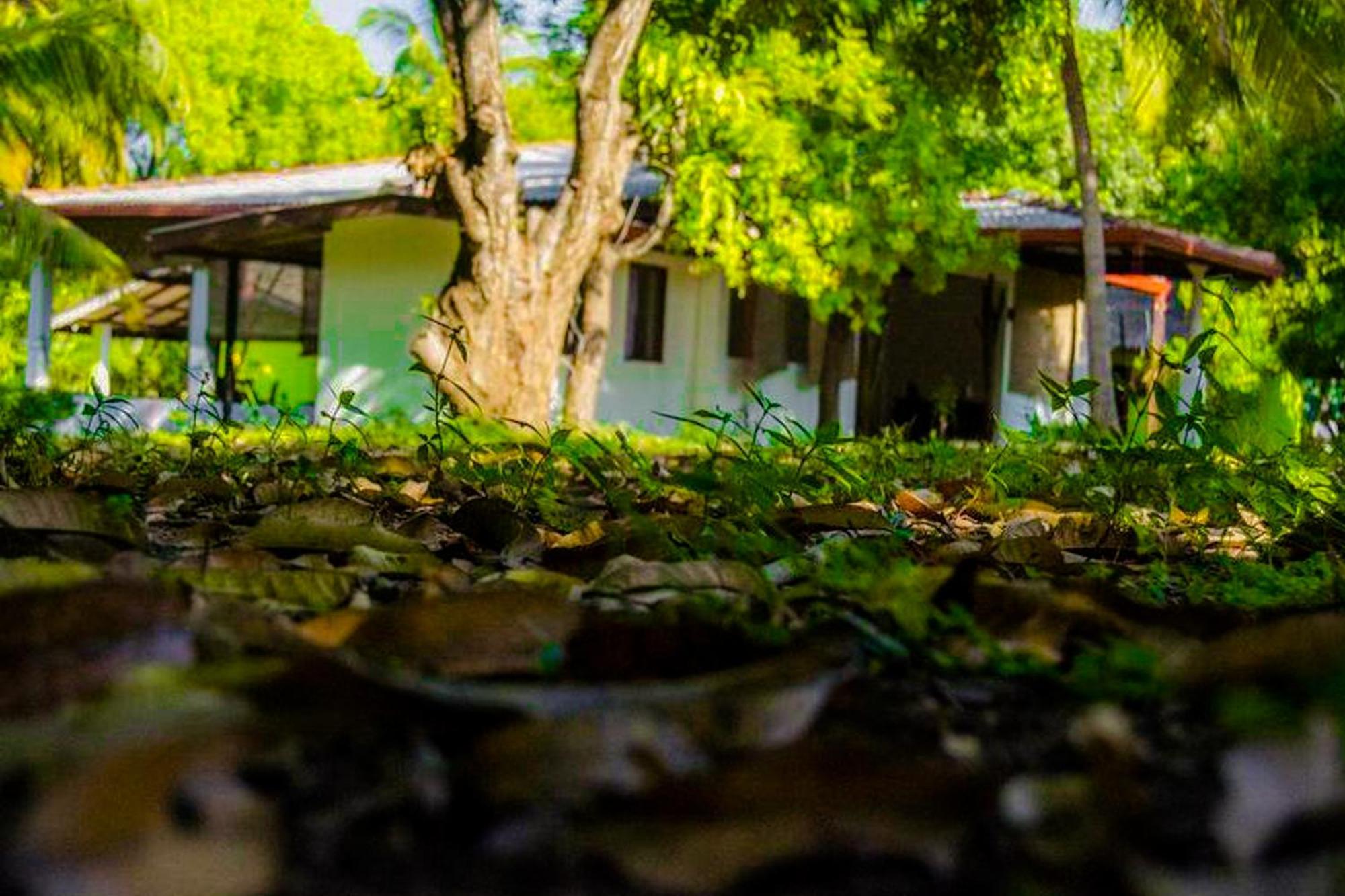Bed and Breakfast Banana Rest Sigiriya Exterior foto