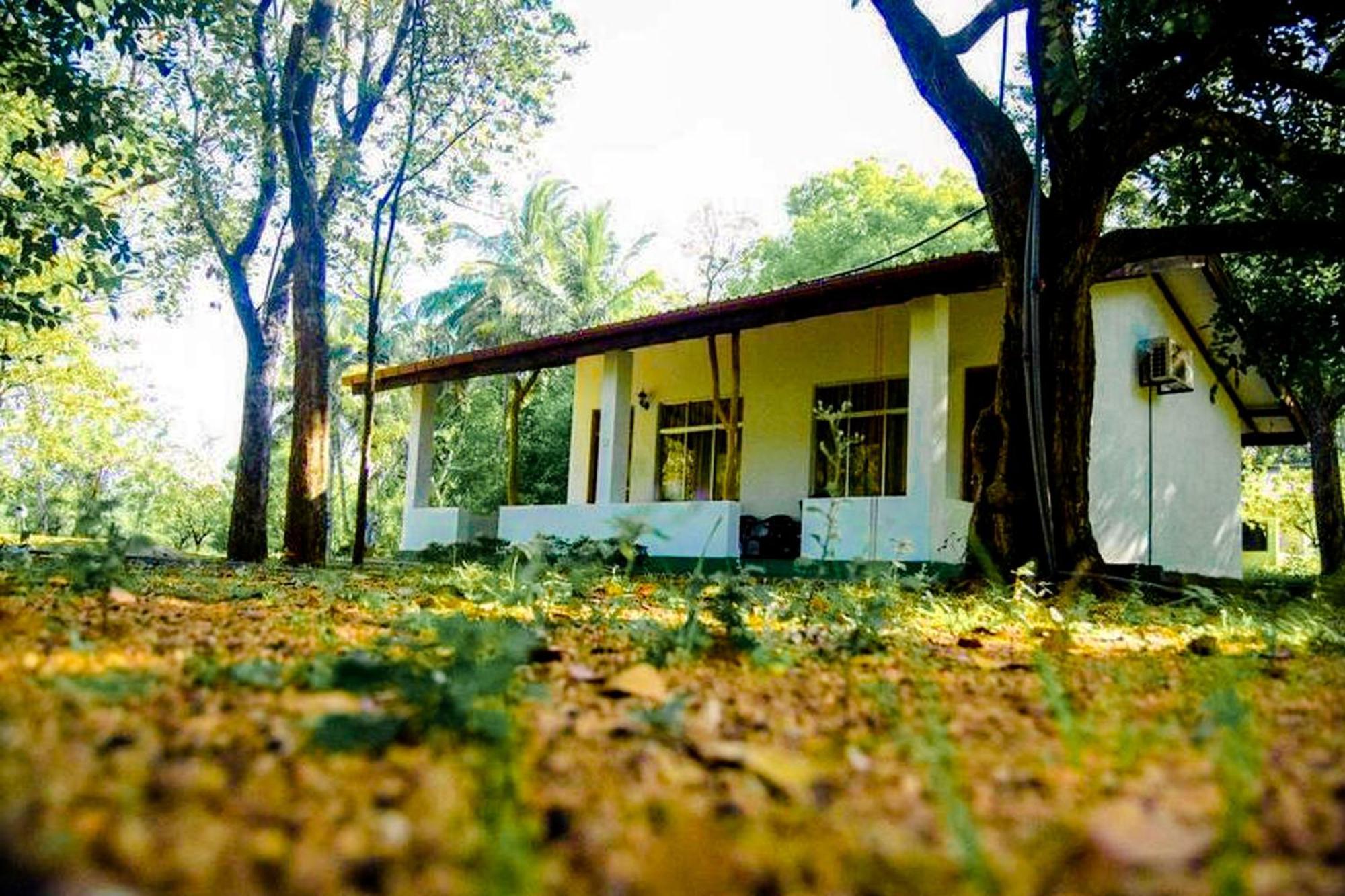 Bed and Breakfast Banana Rest Sigiriya Exterior foto