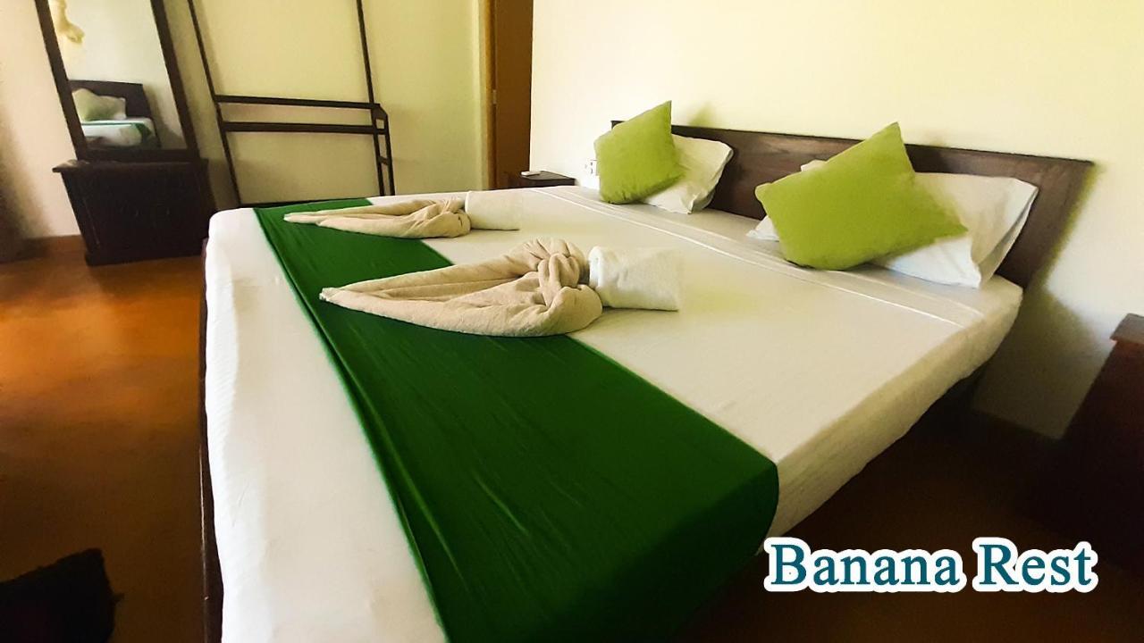 Bed and Breakfast Banana Rest Sigiriya Exterior foto