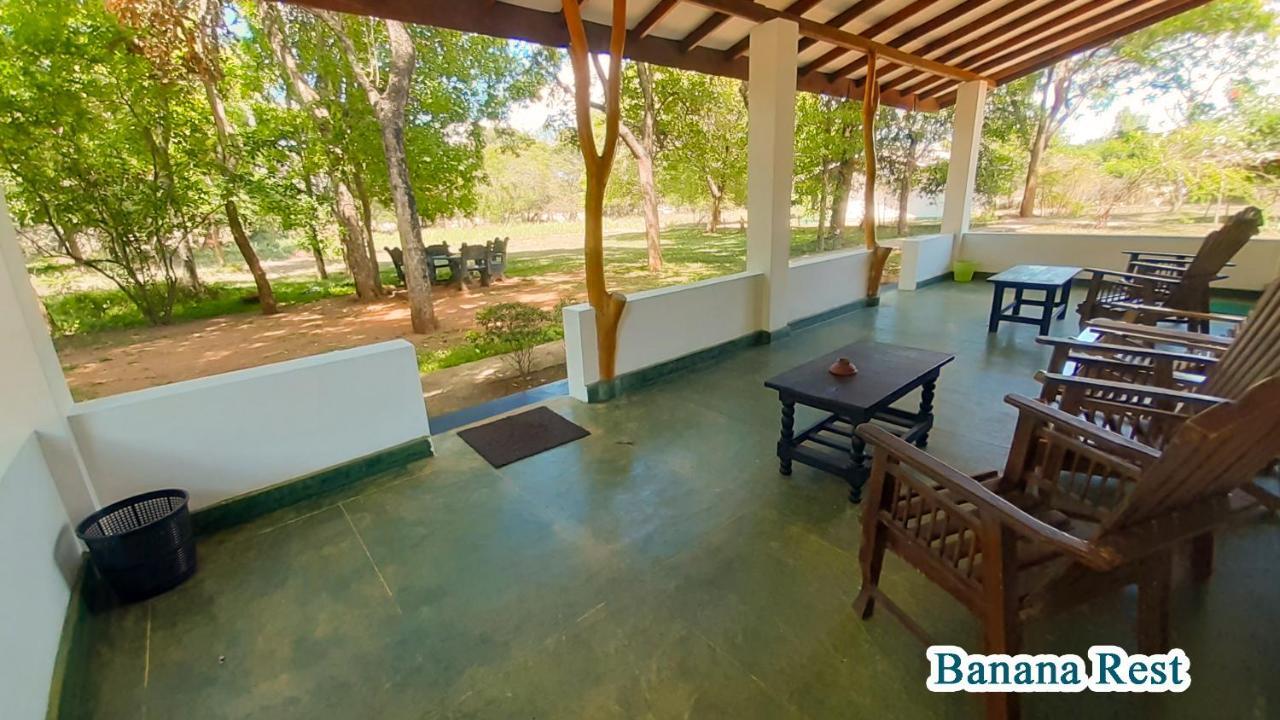 Bed and Breakfast Banana Rest Sigiriya Exterior foto