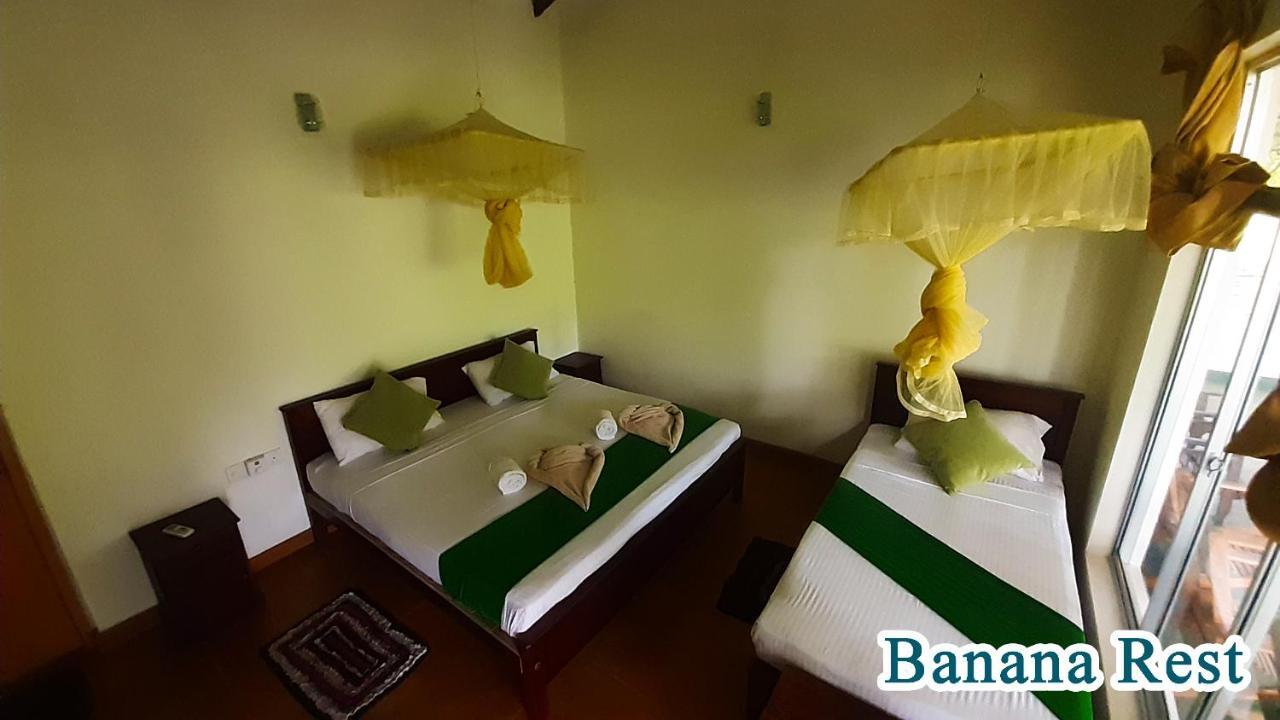 Bed and Breakfast Banana Rest Sigiriya Exterior foto