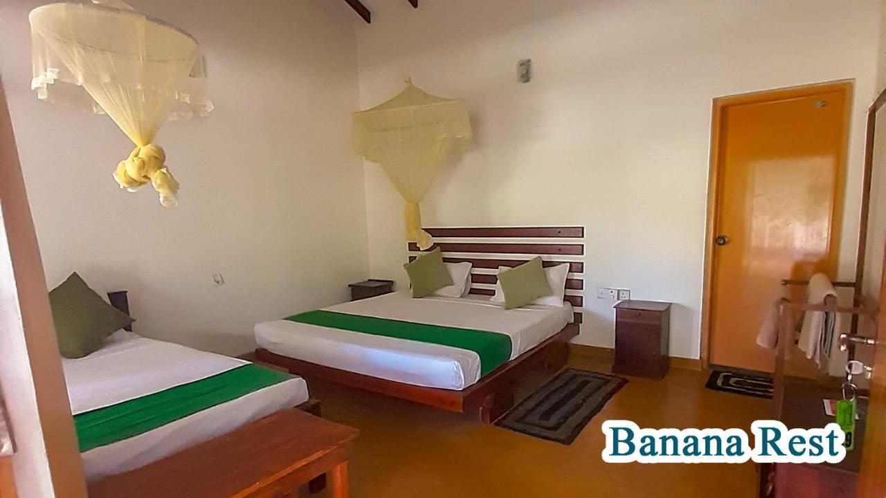 Bed and Breakfast Banana Rest Sigiriya Exterior foto